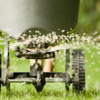 Granular lawn fertilizer