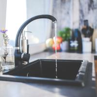 Kitchen sink with drain flies