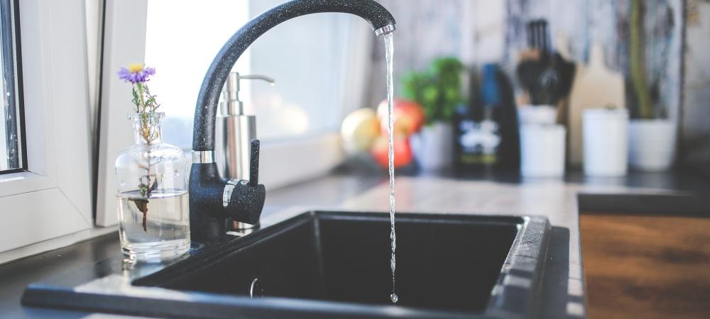 Kitchen sink with drain flies